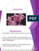 Acid Fast Bacilli (Mycobacterium Tuberculosis)