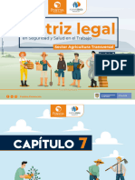 Matriz Legal SST Agricultura Transversal Capitulo7