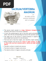 Sacrum