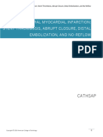 1 Periprocedural Myocardial Infarction Stent Thrombosis, Abrupt