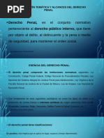 Repaso Primer Parcial, Derecho Penal.