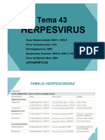 Copia de Tema 43.1 Herpesvirus