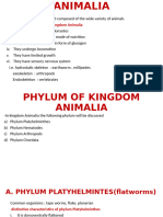 Kingdom Animalia