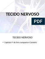 Tecido Nervoso