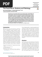 The Facial Nerve Anatomy and Pathology