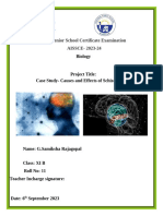 Biology Project. Grade 11 - Schizophrenia