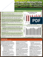 UGA Peanut Agronomic 2024