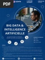 Big Data & Intelligence Artificielle