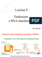 Lez08 Traduz Rna