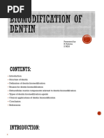 Dentin Biomodification