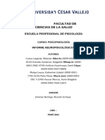 Informe Neuropsicológico