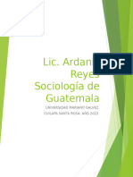 Instituciones Sociales Sociologia1