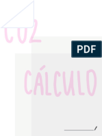 C02CALCULO