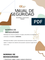 Manual de Seguridad