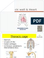 1 Thoracic Wall & Heart