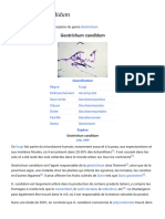 Geotrichum Candidum - Wikipédia