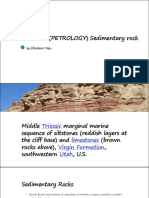 GLY 221 PETROLOGY Sedimentary Rock