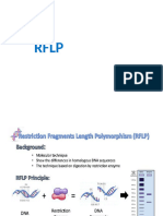 RFLP