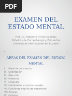 Examen Del Estado Mental 2024-1