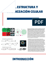 Clase 4 Unidad Ii