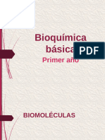 Bioquímica Básica Resumen