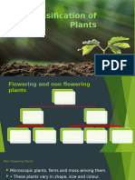 Classification of Plants