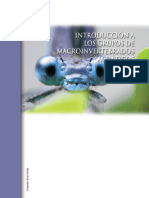 MacroinvertebradosAcuáticos 2010