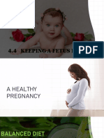 4.4 Keeping A Fetus Healthy