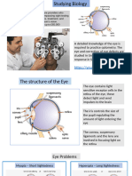 Y9 Options Resource Biology