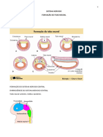 Fisiologia Sistema Nervoso