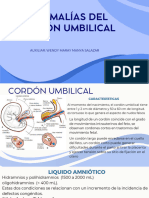 Anomalías Del Cordón Umbilical