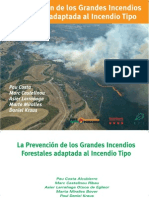 La Prevencion de Los Grandes Incendios Forest Ales Adaptada Al Incendio Tipo