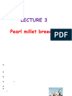 Lecture 3 - Pearl Millet