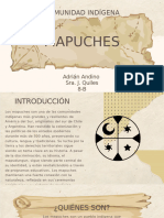 Informe Adrian Mapuches