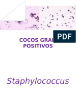 Staphylococcus e Streptococcus Pyogenes