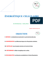 Énergétique Cellulaire: DR Nguele