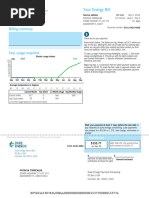 Billing Summary: Your Energy Bill