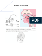 ELS 55 Reviewer (Phonology)