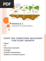 Module 2.1 - Principles of Plant Growth