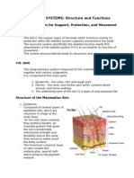 Organ System For Support, Protection, and Movement