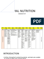 Animal Nutrition