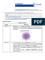 Meiosis HandOuts