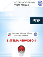 Sistema Nervioso Anatomia 2024