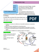 Parasitarias Solemne 2