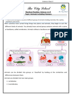 1.2.4 Handout (Vertebrates)