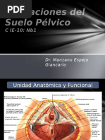 Alteraciones Del Suelo Pélvico