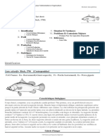 FAO Fisheries & Aquaculture - Cultured Aquatic Species Fact Sheets - Lates Calcarifer (Bloch, 1790) (1)