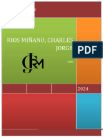 CV Charles Jorge Rios Miñano Abril 2024 - Ing de Seguridad (No Documentado) Prot