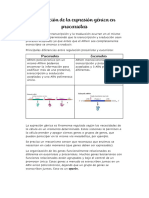 Regulacion de La Expresion Genica en Procariotas