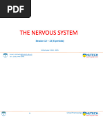 The Nervous System